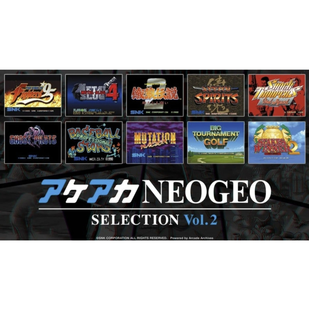 【NS原版片】☆ NS ACA Neogeo 精選集 Vol.2 ☆ 中文版全新品【台中星光電玩】-細節圖5