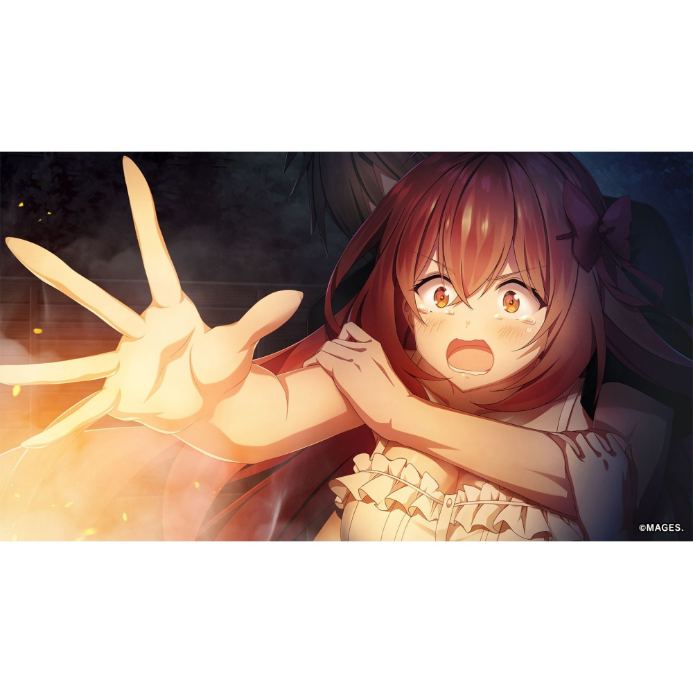 含特典 預購4/9【NS原版片】☆ Switch 告別回憶 双想 ☆中文版全新品【台中星光電玩】-細節圖7