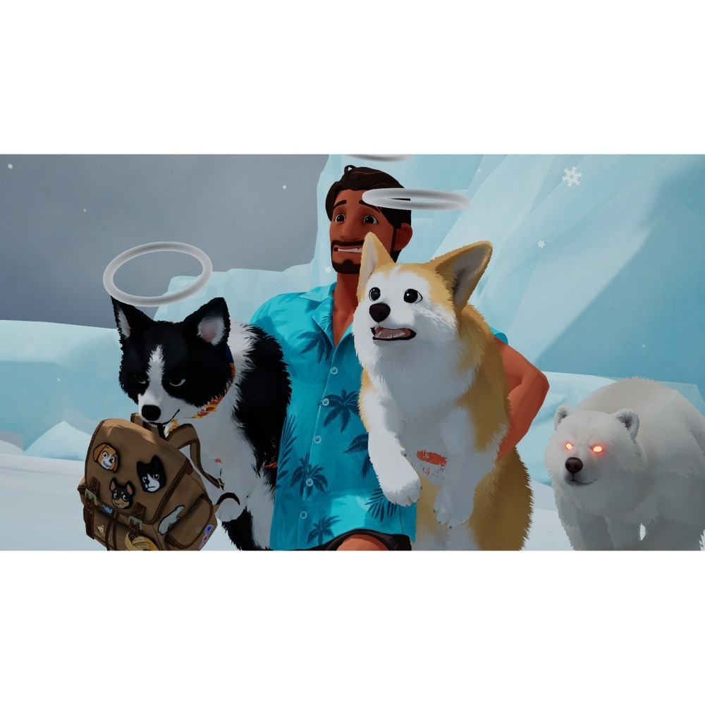 【NS原版片】☆ Switch 我的小柯基 My Little Puppy ☆中文版全新品【台中星光電玩】-細節圖6