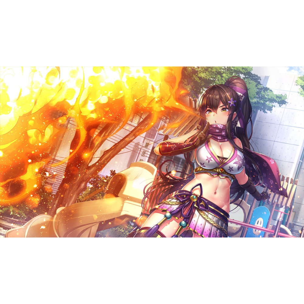 預購9/3上市【NS原版片】☆ Switch Days Collection：女忍者戀愛二部曲 ☆中文全新【台中星光】-細節圖6
