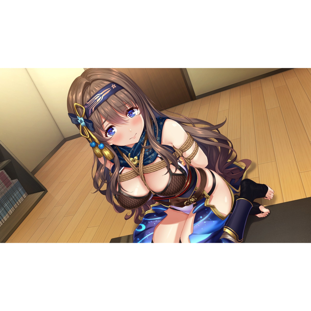 預購9/3上市【NS原版片】☆ Switch Days Collection：女忍者戀愛二部曲 ☆中文全新【台中星光】-細節圖8