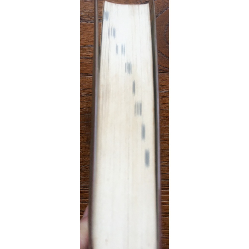 袖珍日華辭典-細節圖5