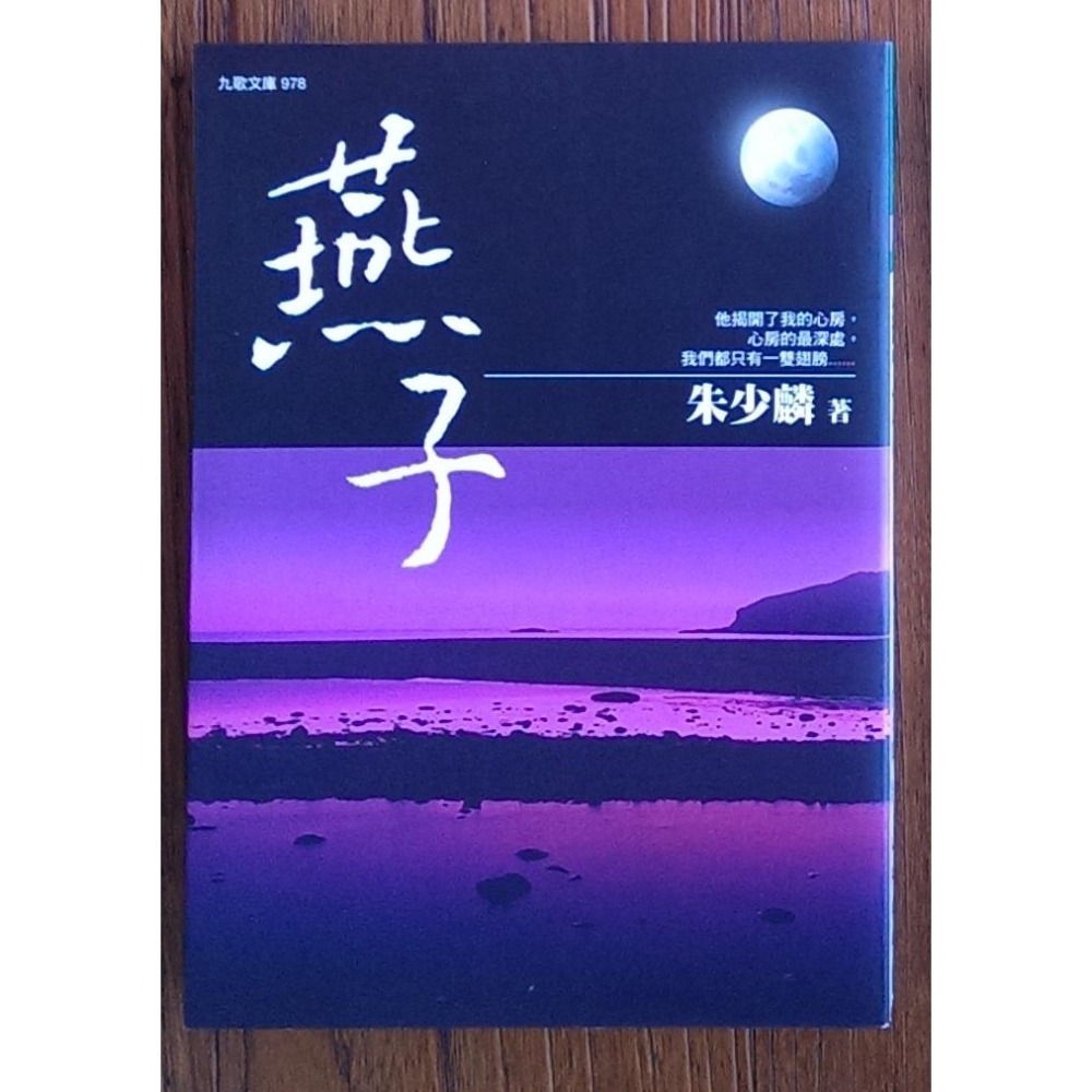 蛋白質女孩 好女孩不做 燕子 行到水窮處 他其實沒那麼喜歡你 英文小說-細節圖2