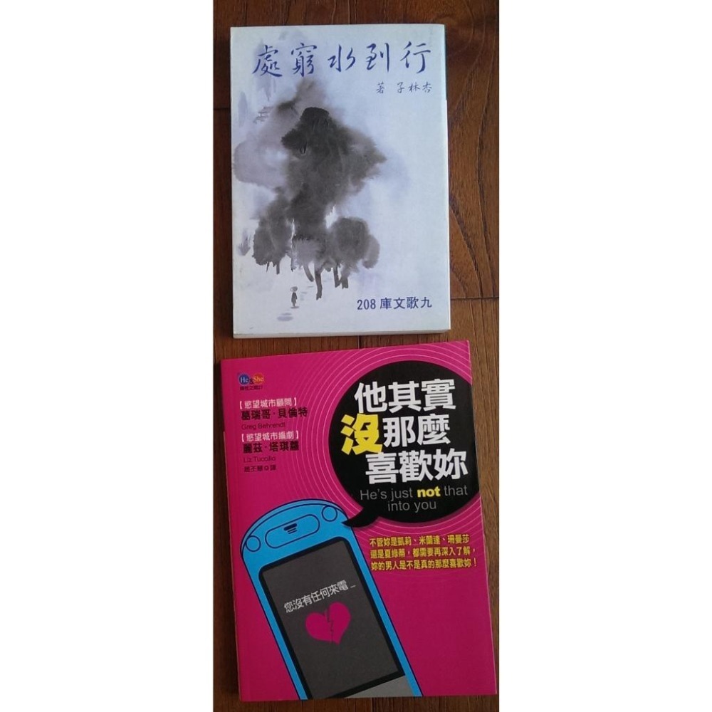 蛋白質女孩 好女孩不做 燕子 行到水窮處 他其實沒那麼喜歡你 英文小說-細節圖3