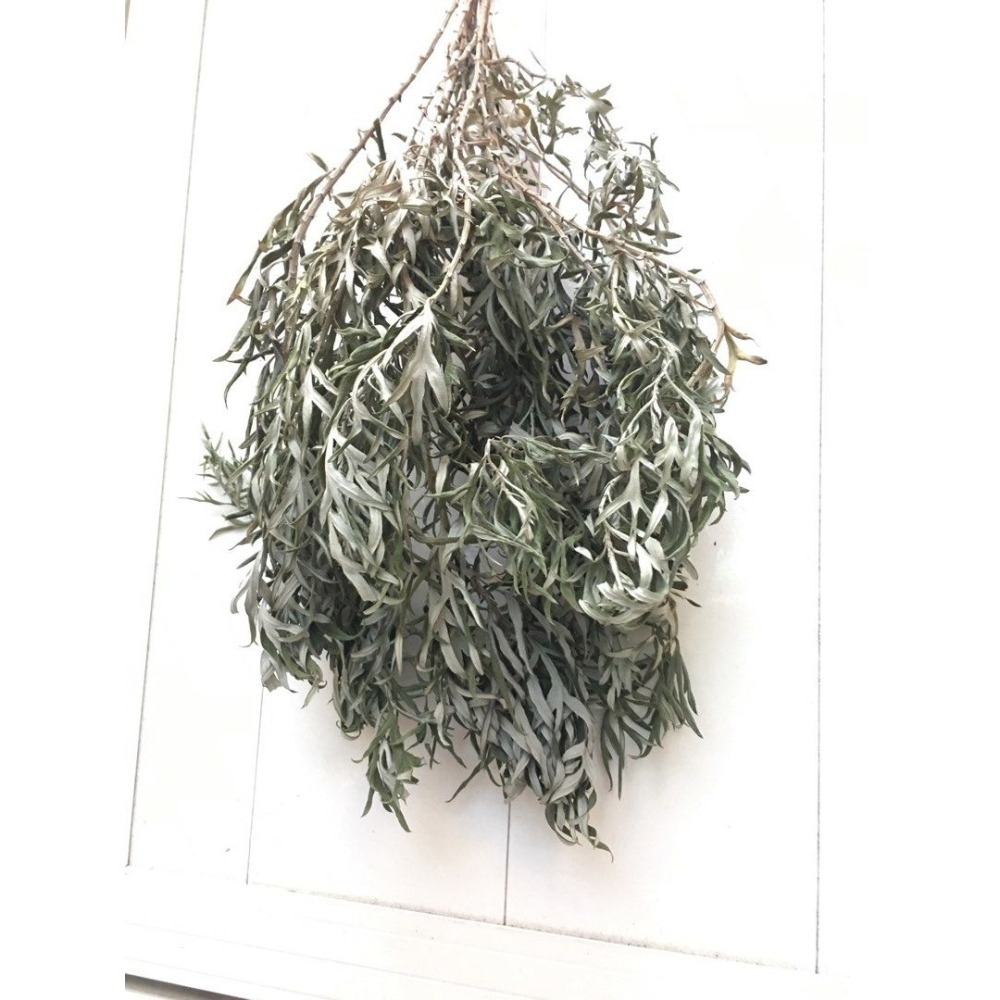 新鮮 艾草 一份約10多根 / 乾燥艾草 一把 (無農藥 可煮茶) / 孤挺花 種子 一份 (數量為照片中的一半)-細節圖2