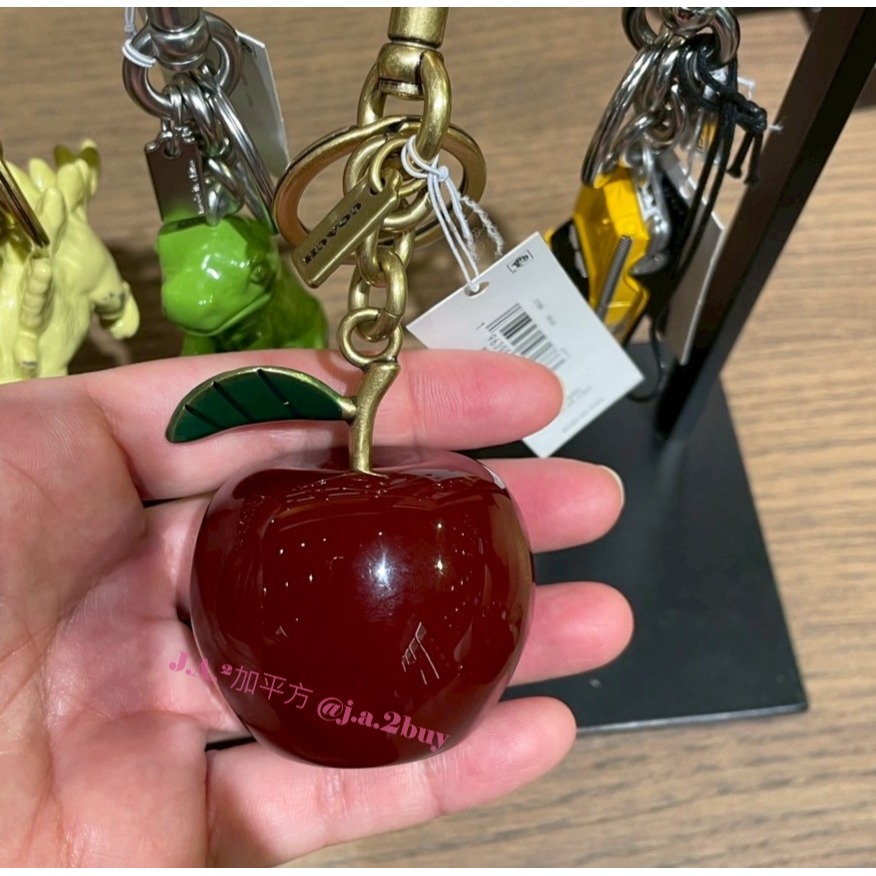 🍁J.A.²加平方🇨🇦代購🍁Coach 吊飾 鑰匙圈 掛飾 包包掛飾 行李吊牌 男生 女生❗️預購❗️-細節圖7