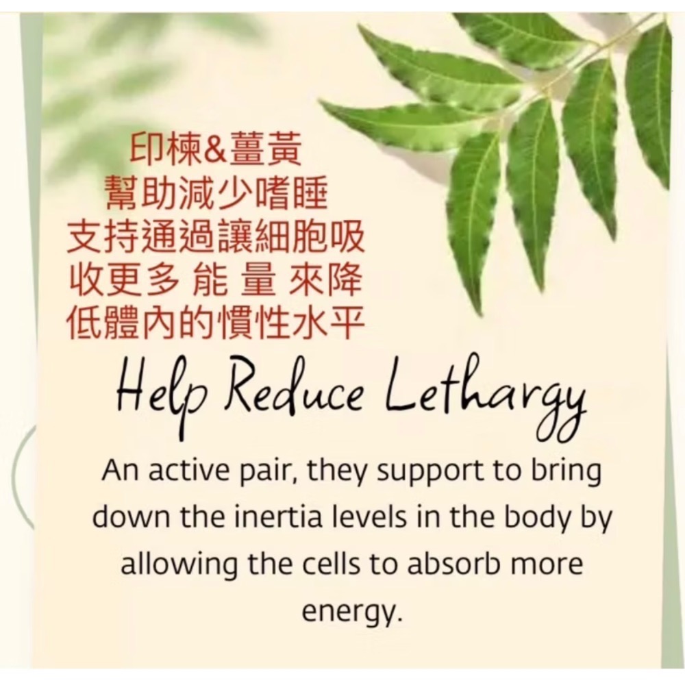 🇮🇳ISHALIFE🇮🇳阿育吠陀草本🌿「印楝（苦楝）錠劑 60錠」Neem Tablets (60pcs).-細節圖3