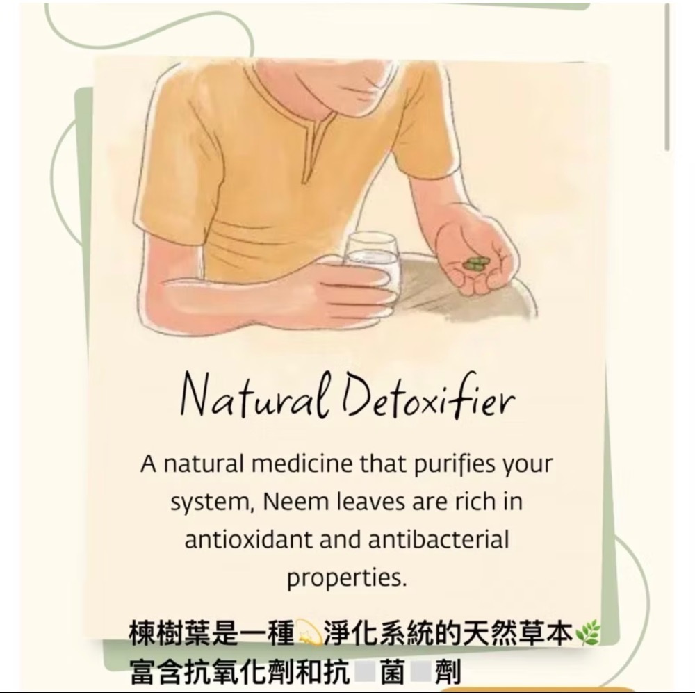 🇮🇳ISHALIFE🇮🇳阿育吠陀草本🌿「印楝（苦楝）錠劑 60錠」Neem Tablets (60pcs).-細節圖7