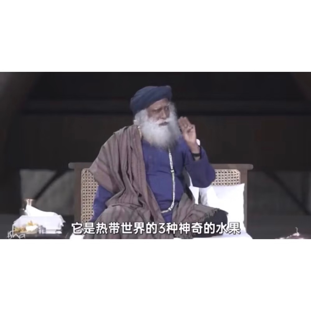 🇮🇳ISHALIFE🇮🇳阿育吠陀草本🌿「有機三果實錠劑」Tiripala Choorana Mathirai-細節圖8