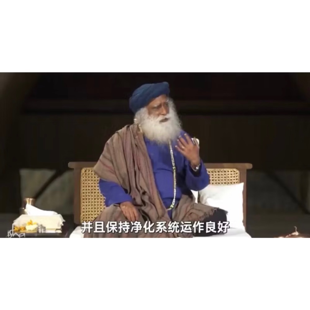 🇮🇳ISHALIFE🇮🇳阿育吠陀草本🌿「有機三果實錠劑」Tiripala Choorana Mathirai-細節圖11