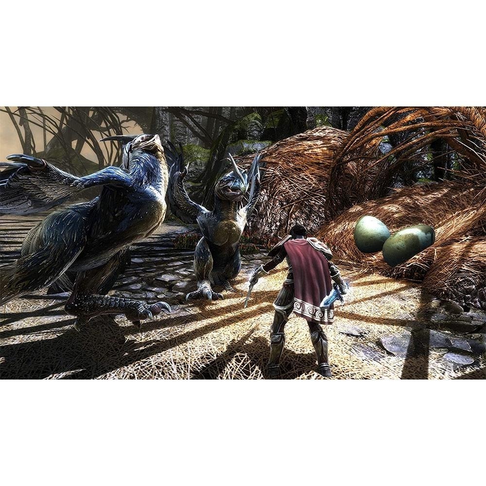 NS SWITCH 大地王國：罪與罰 強化完整版 中文美版 Kingdoms of Amalur 包含DLC 【一起玩】-細節圖4
