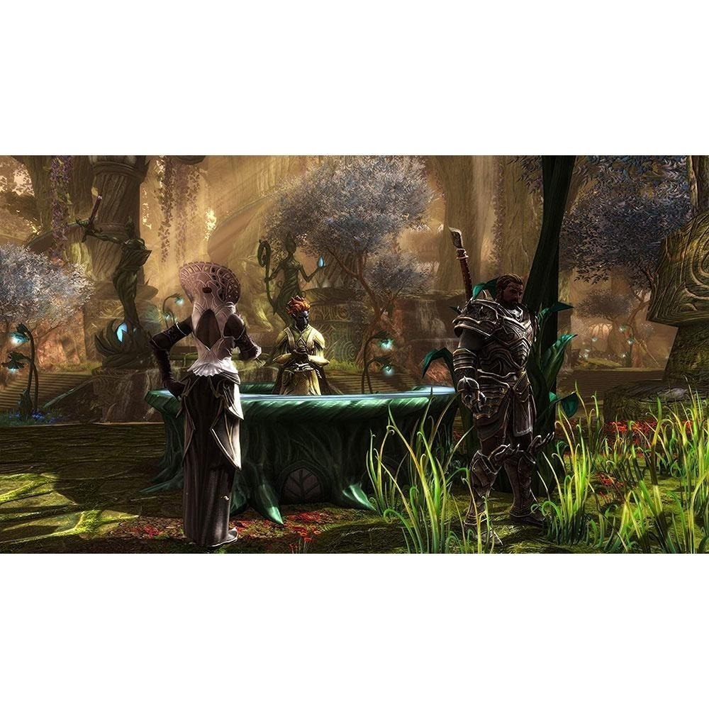 NS SWITCH 大地王國：罪與罰 強化完整版 中文美版 Kingdoms of Amalur 包含DLC 【一起玩】-細節圖5