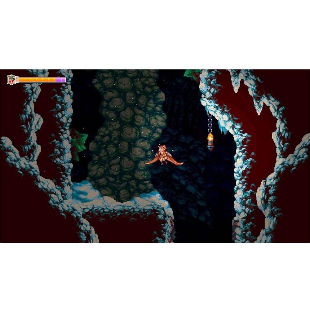 【一起玩】NS SWITCH 貓頭鷹男孩 中英日文美版 Owlboy(現貨全新)-細節圖5