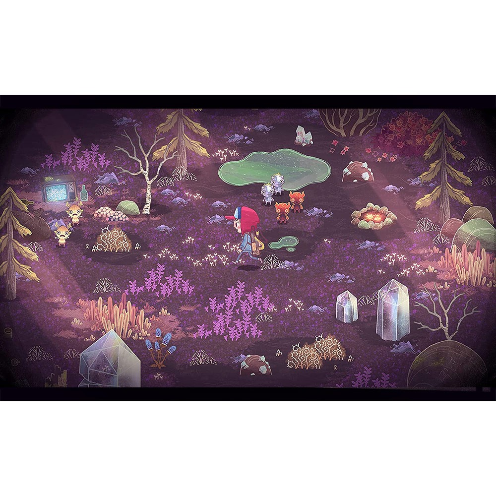 【一起玩】NS SWITCH 狂野之心 中英日文歐版 The Wild at Heart (天天出貨)-細節圖6