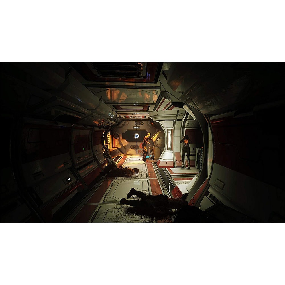 【一起玩】NS SWITCH 堅毅號 中英日文歐版 The Persistence-細節圖5