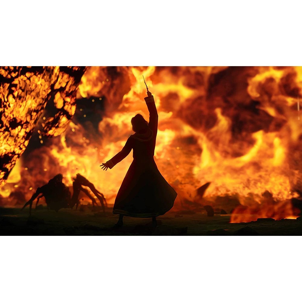 【一起玩】NS2 Switch2 霍格華茲的傳承 中英日文歐版(鑰匙卡) Hogwarts Legacy-細節圖6