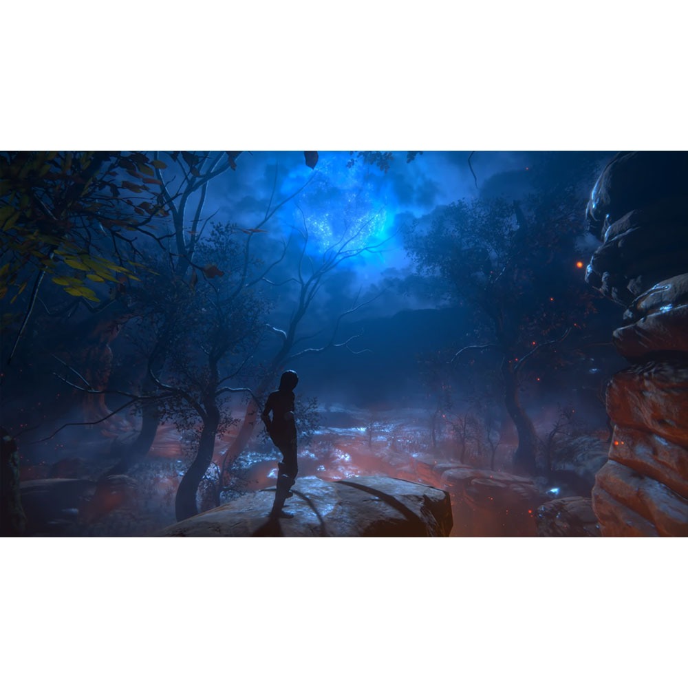 【一起玩】NS SWITCH 生命之種 中英文歐版 Seed of Life-細節圖5