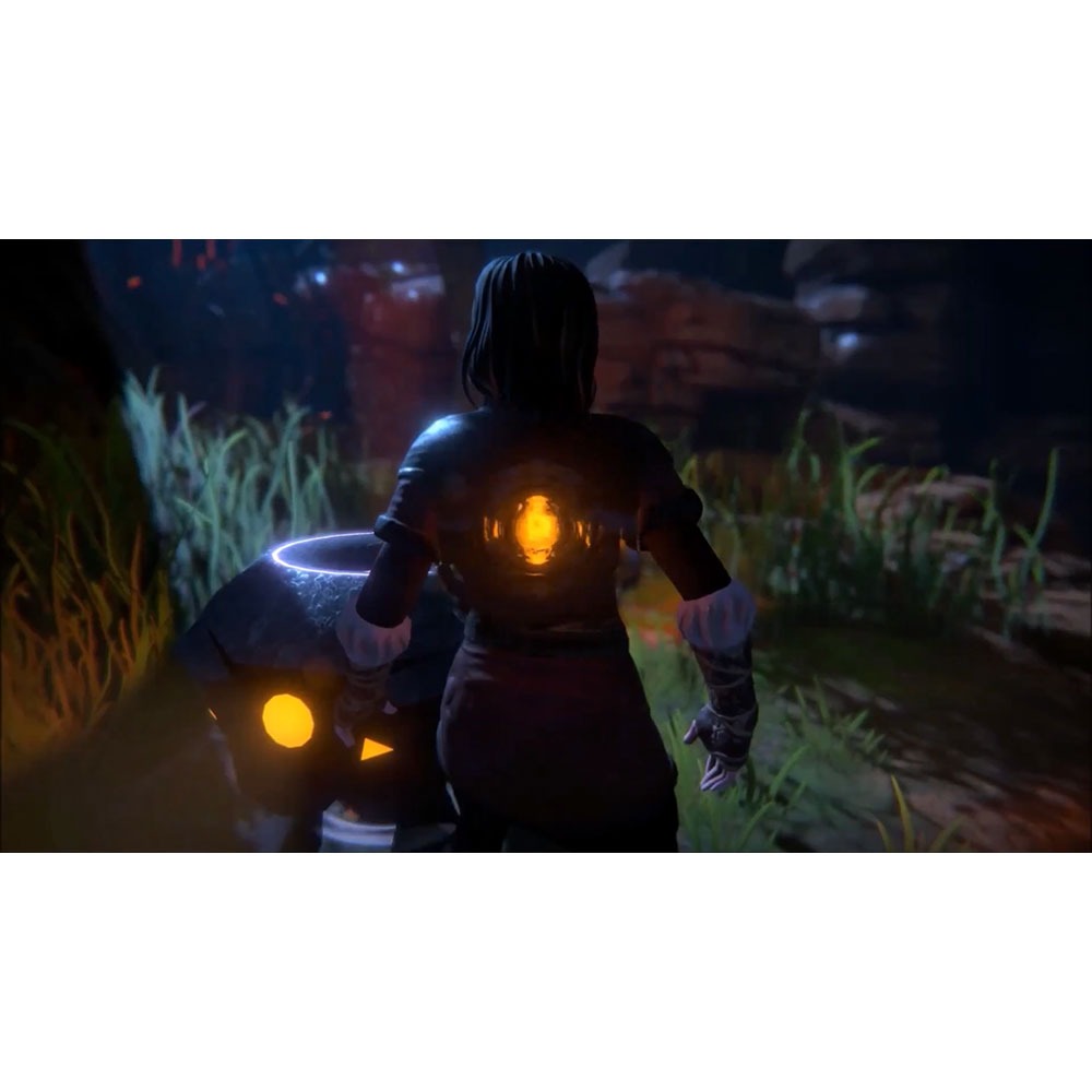 【一起玩】NS SWITCH 生命之種 中英文歐版 Seed of Life-細節圖6