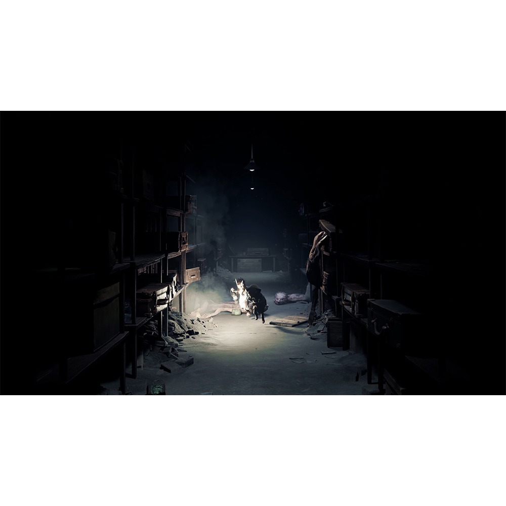 【一起玩】NS2 Switch2 生靈重塑 中英日文歐版 Reanimal 鑰匙卡-細節圖6