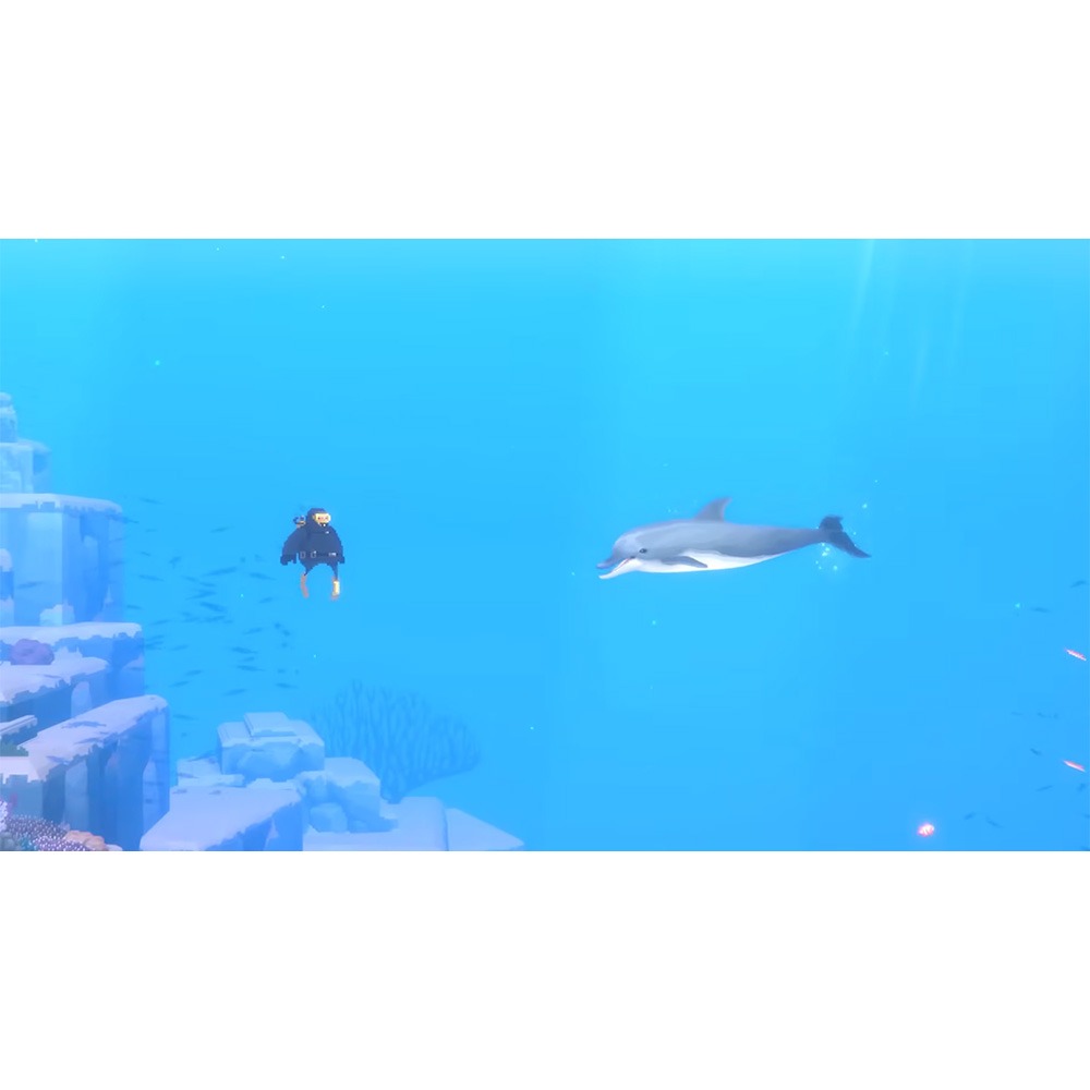 【一起玩】NS SWITCH 潛水員戴夫 週年紀念版 中英日文美版 Dave The Diver-細節圖6