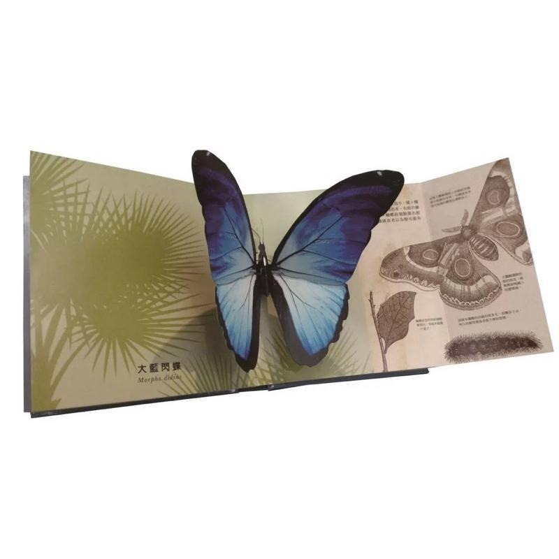 全新封膜 國家地理立體書 蝴蝶 甲蟲 鯊魚 暑假選書 栩栩如生的立體圖片-細節圖3