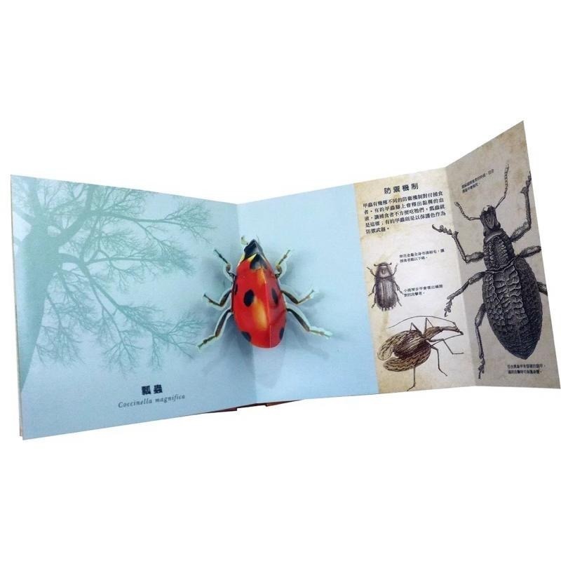全新封膜 國家地理立體書 蝴蝶 甲蟲 鯊魚 暑假選書 栩栩如生的立體圖片-細節圖5