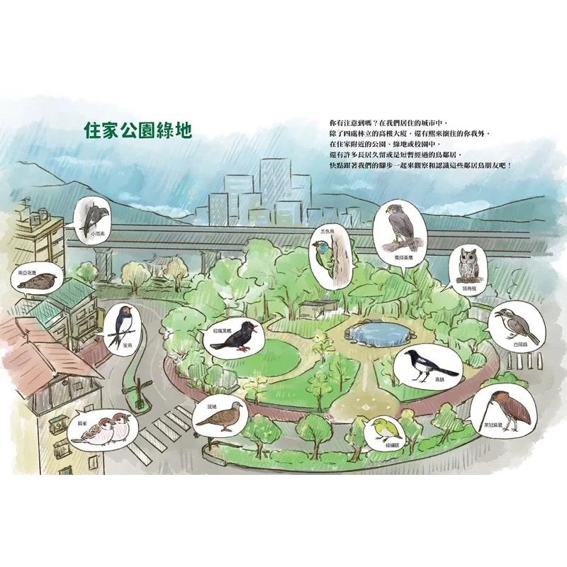 我家附近的鳥鄰居：超搞笑又認真的鳥類圖鑑，觀察鳥兒們令人意想不到的日常-細節圖3