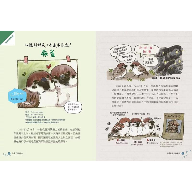 我家附近的鳥鄰居：超搞笑又認真的鳥類圖鑑，觀察鳥兒們令人意想不到的日常-細節圖4