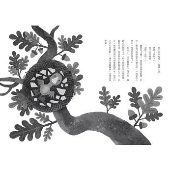 荒野機器人（夢工廠動畫電影書衣版） THE WILD ROBOT-細節圖4