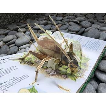 法布爾昆蟲記立體書 一場觸覺、視覺、聽覺與嗅覺的多重感官饗宴-細節圖5