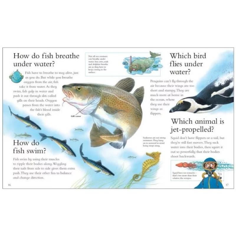 I Wonder Why Ultimate Collection 附音檔 科普知識小百科《十萬個為什麼？》套書20冊-細節圖4