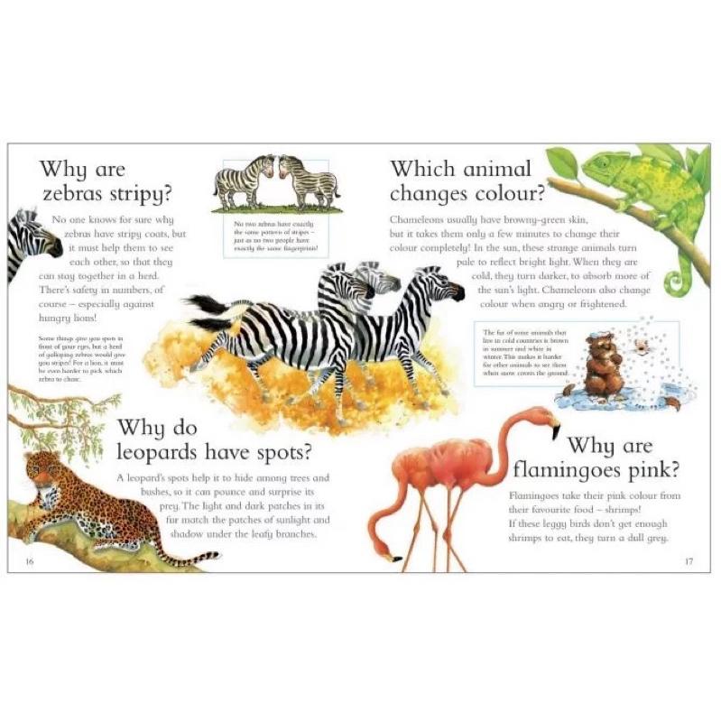 I Wonder Why Ultimate Collection 附音檔 科普知識小百科《十萬個為什麼？》套書20冊-細節圖5