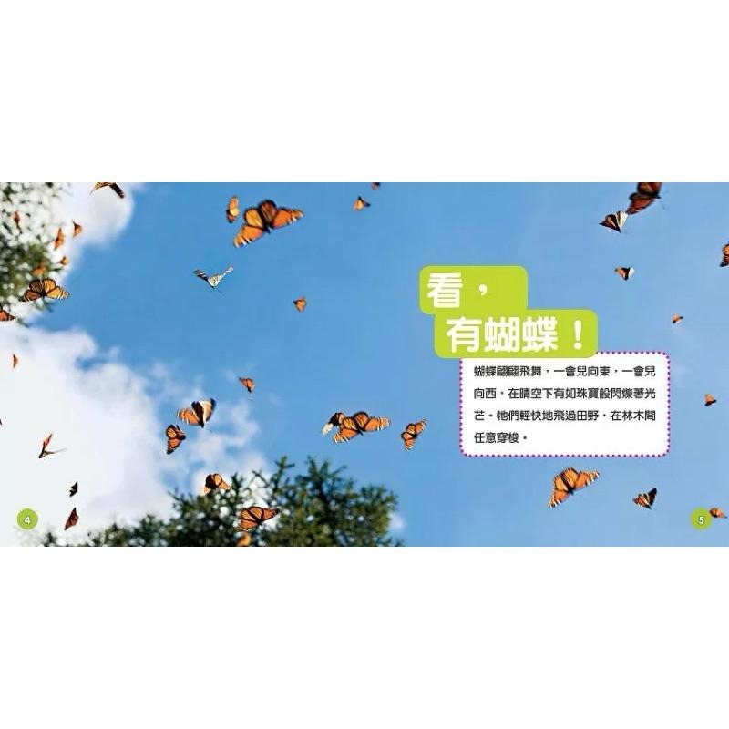 精裝 國家地理幼幼探險家  中英對照 蝴蝶的冒險（中英雙語） Explore My World Butterflies-細節圖3