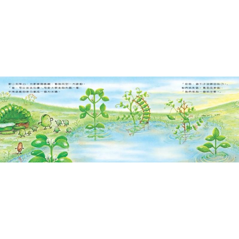 蔬菜學校作者中屋美和 小蠶豆和好朋友們 中屋美和燙金印簽限量套書 (全套5冊)-細節圖5