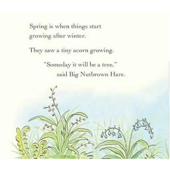 Guess How Much I Love You 猜猜我有多愛你 little library 四季主題 套書-細節圖3