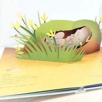 你在媽媽肚子裡的樣子 精美書盒典藏版  1：1真實比例小寶寶立體書（立體封面典藏版）-細節圖5