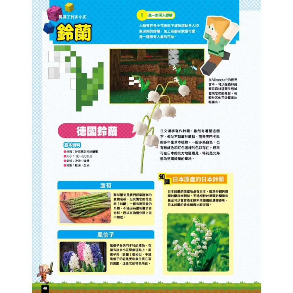 Minecraft 麥塊 大圖鑑 邊玩邊背拿高分 英單學霸大圖鑑500+ 社會拼圖 日本歷史 地球的秘密-細節圖3