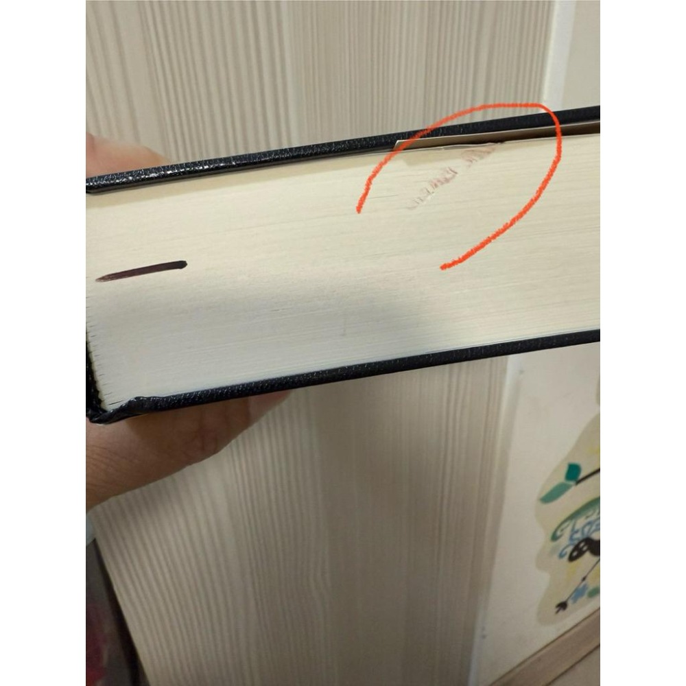 微瑕疵出清價 解答之書：專屬於你的人生答案 愛的解答之書-細節圖2