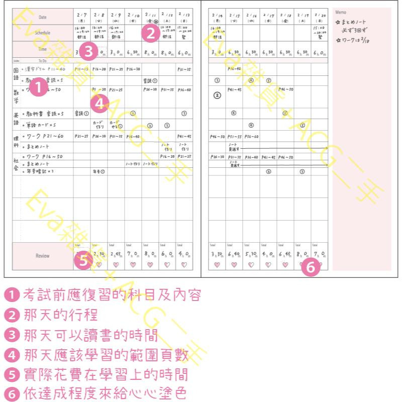 日本製Miorin Study Time兩週讀書規劃筆記本B5東大畢業生設計-細節圖2
