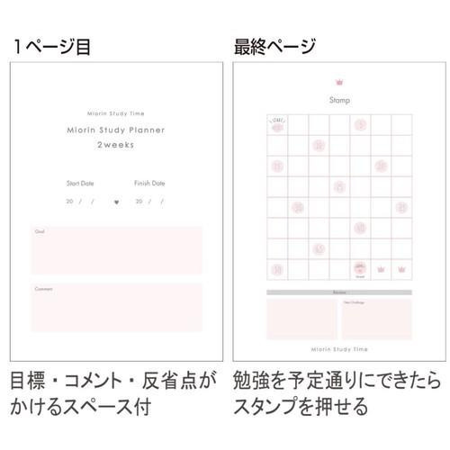日本製Miorin Study Time兩週讀書規劃筆記本B5東大畢業生設計-細節圖4