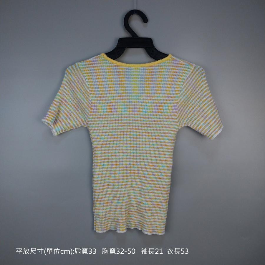 220902彩色貼身彈性圓領短袖上衣二手-細節圖2
