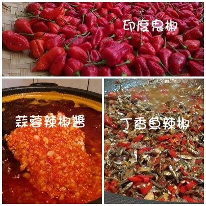 自種辣椒~純手工丁香魚乾辣椒醬(鬼椒大辣款、愛吃小辣款)-細節圖3