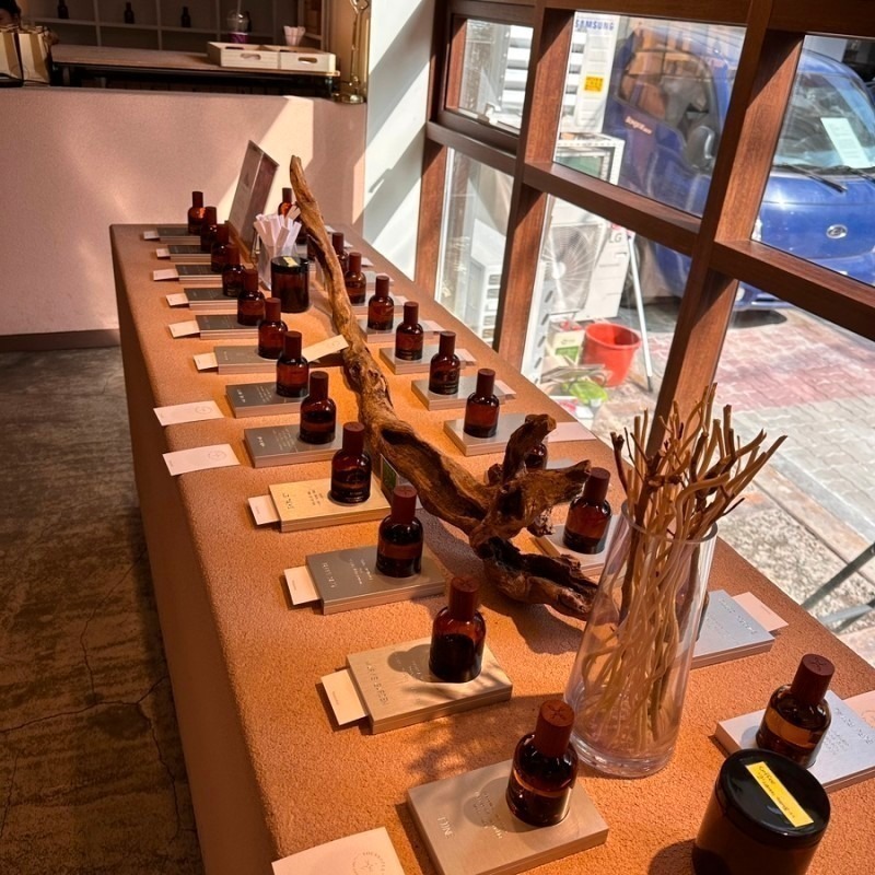 韓國 Youssoful Coco Hawaii Stare Mesto 小眾香 分裝香水-細節圖5