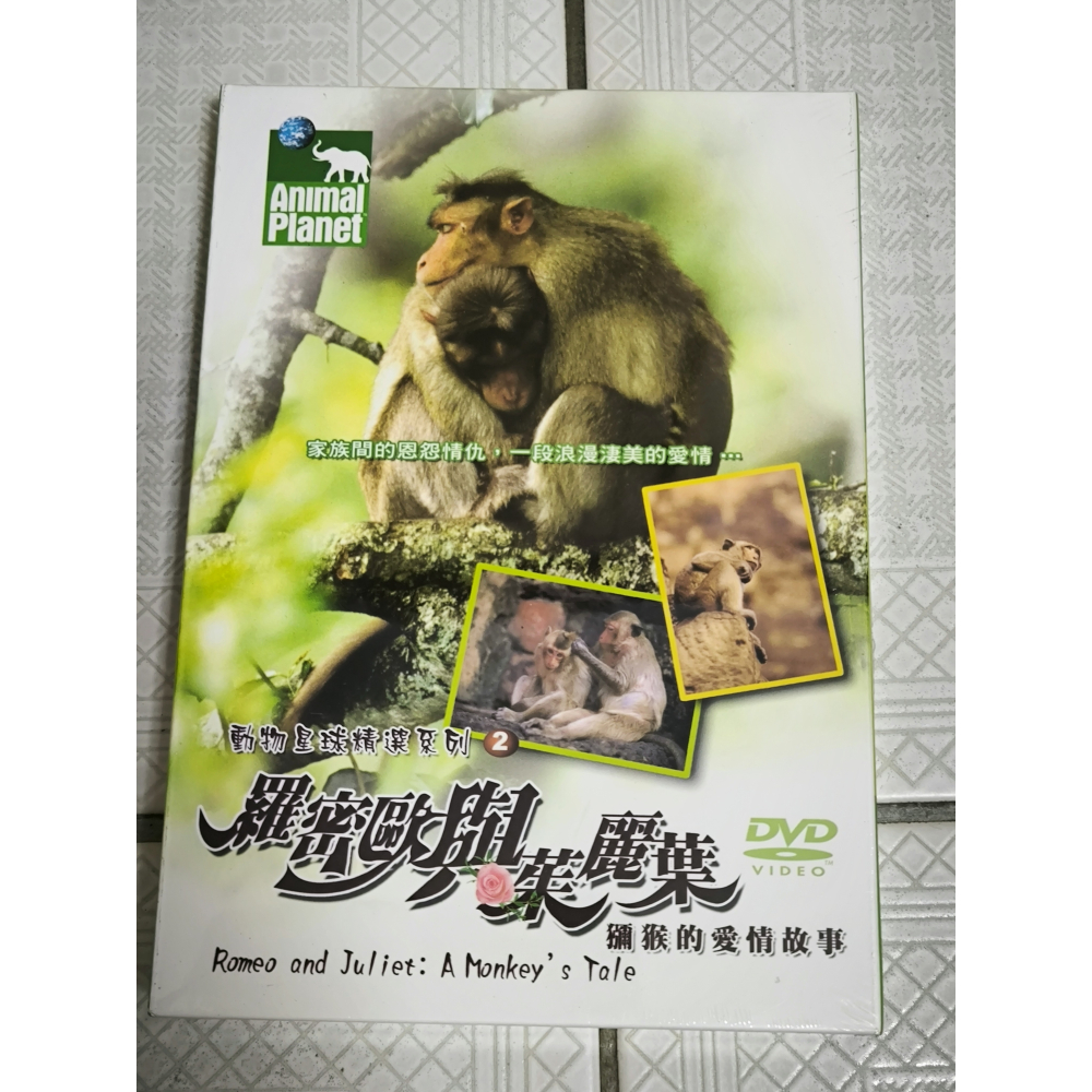 全新未拆DVD-羅密歐與茱麗葉 獼猴的愛情故事 動物星球頻道 animal planet