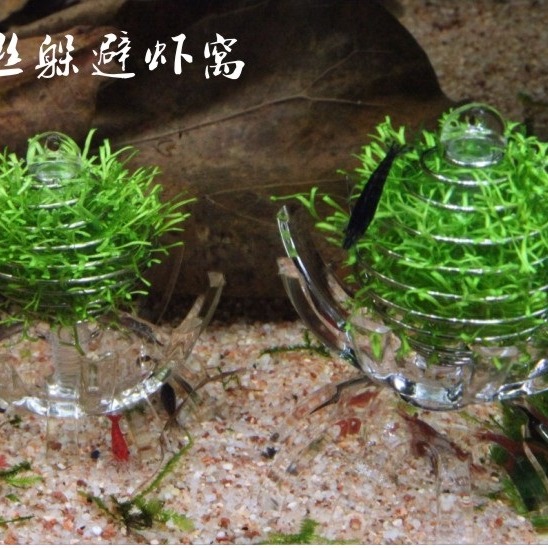 【光欣蝦舍水族】<菠之籠>多功能菠之食水族飼料餵食籠  水草裝飾籠，水族水草觀賞蝦.觀賞魚.觀賞螺用-細節圖4