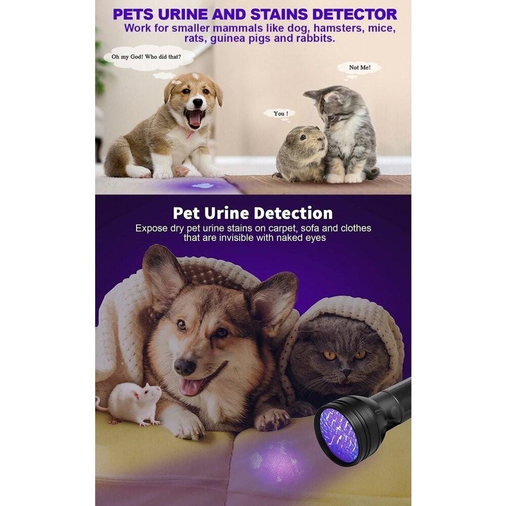 【七彩翡翠】 台灣現貨 04203 紫光燈 紫外線 手電筒 動物 貓 狗 老鼠 跳蚤 糞便 污漬 檢測-細節圖5