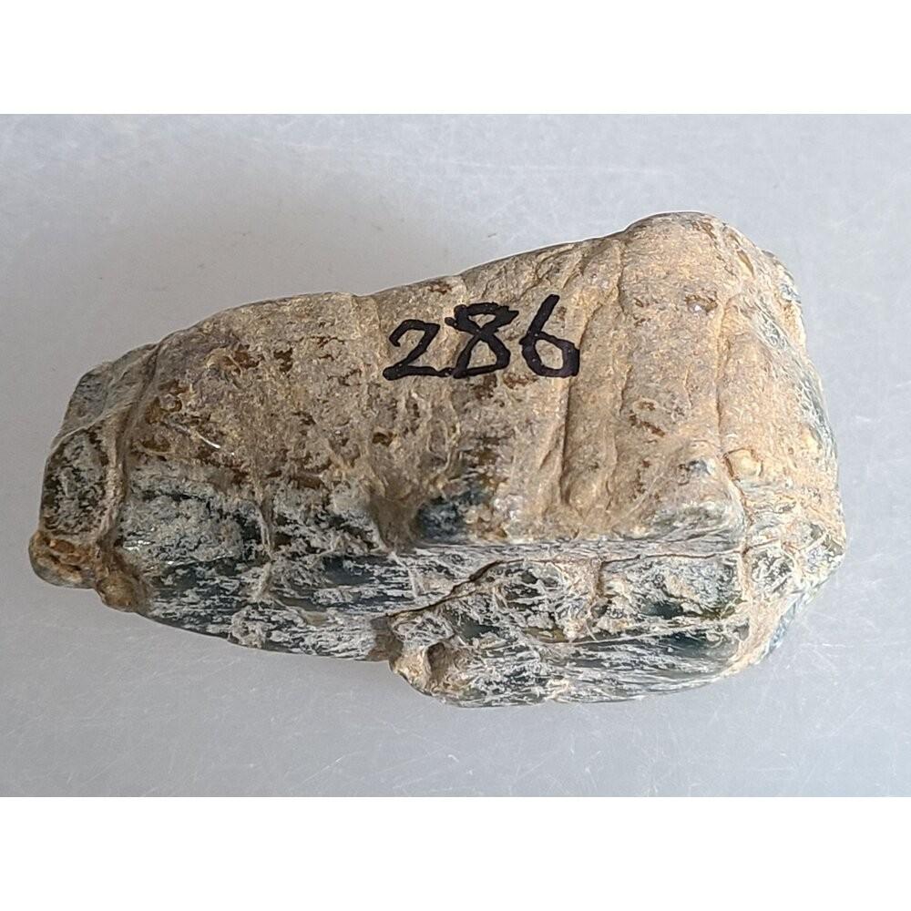 【七彩翡翠】危料 瓜料 瓜地馬拉 脫砂 發黑 原石 賭 冰種 牌子 戒面 台灣出貨  286g-細節圖6