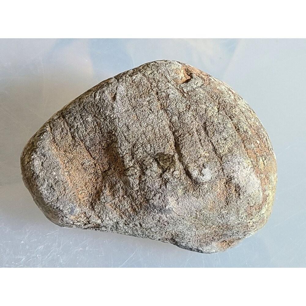 【七彩翡翠】 緬甸 翡翠 天然 原石 全賭石 老場 后江 後江 場口 種水料 緬甸直達 台灣出貨  534g-細節圖3