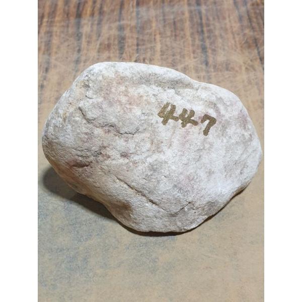 【七彩翡翠】全賭料，木那場口種水料～台灣現貨,447g-細節圖8