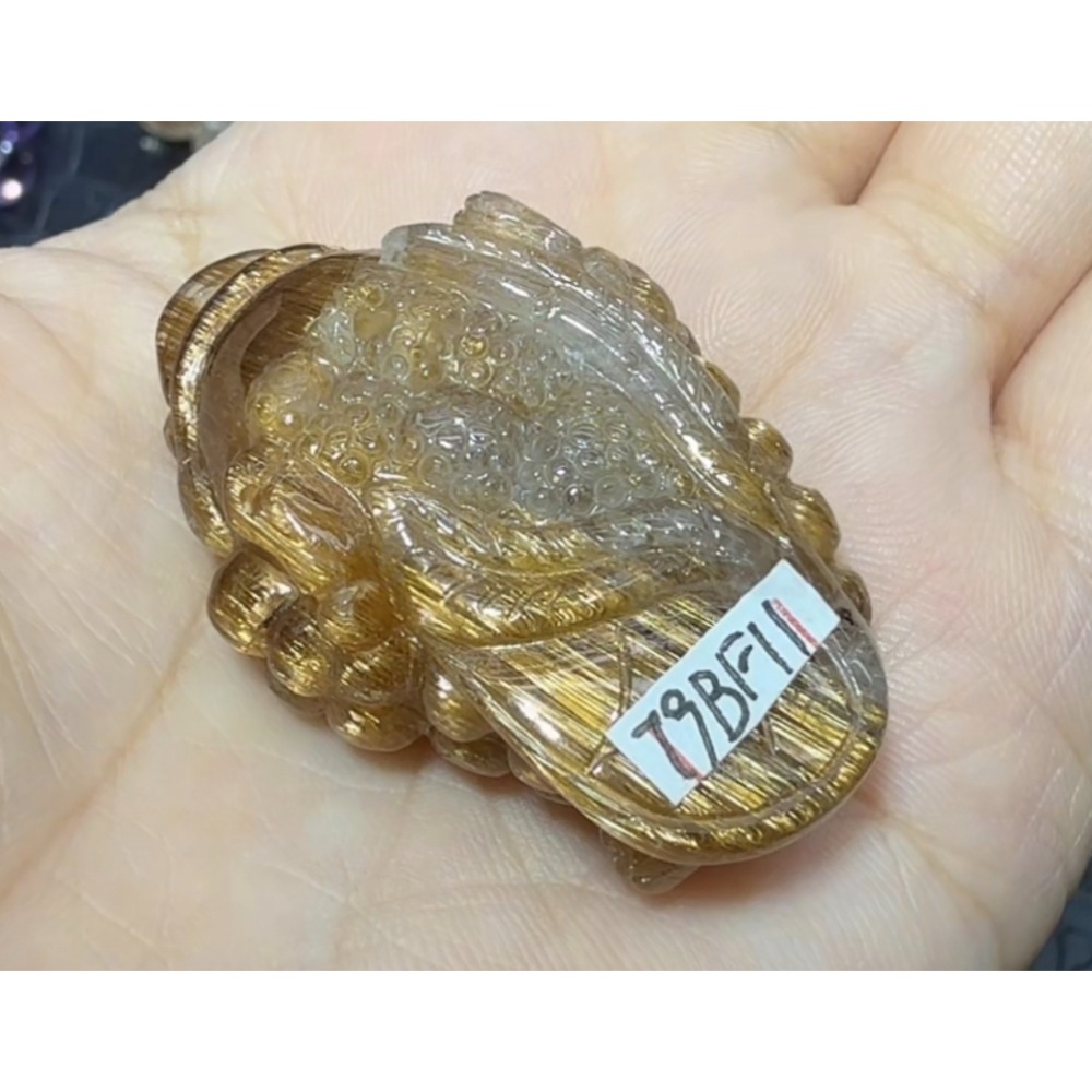 ❄️預購❄️銅髮咬錢金蟾蜍 發財守財聚財 避邪擋煞鎮宅 招財開運 風水擺件 天然原礦銅髮 銅髮晶 咬錢最強蟾蜍 蟾蜍 招-細節圖3